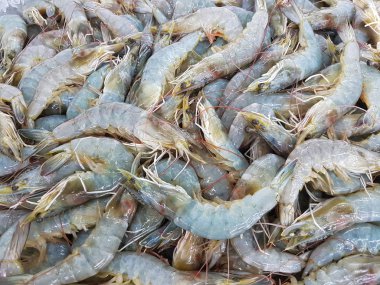 süpermarkette buzda yakın çekim taze karides