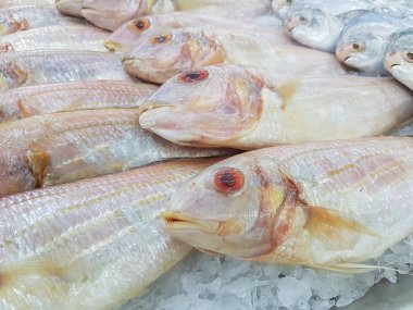 taze süslü threadfin süpermarket Tayland satışında buz balık çipura