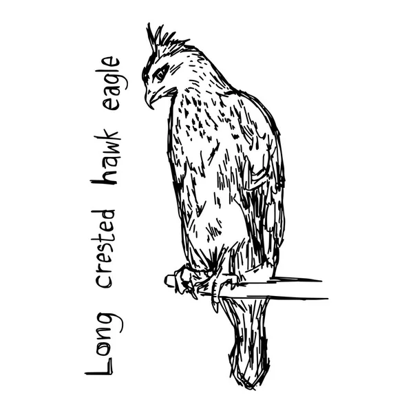長いトキ鷲鳥 - 白い背景で隔離の黒い線で描かれたベクター イラスト スケッチ手 — ストックベクタ