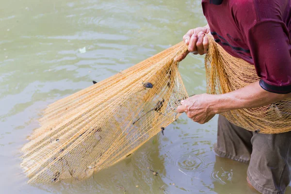 Nahaufnahme asiatischer Fischer in dunkelrotem Poloshirt, der das Netz aus dem Teich zieht und sich auf die Hand konzentriert — Stockfoto