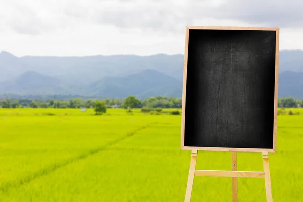 Vintage tom meny blackboard på bakgrunden av ris fält landskap, kan användas för visning eller montage dina produkter. Håna upp för visning av produkten. — Stockfoto