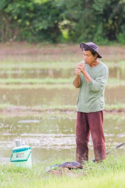 Chiang Rai, Tayland - 16 Haziran: Chiang rai, Tayland 16 Haziran 2017 alanını rahatlamaya sigarasını aydınlatma kimliği belirsiz Asyalı erkek çiftçi. Dikey fotoğraf