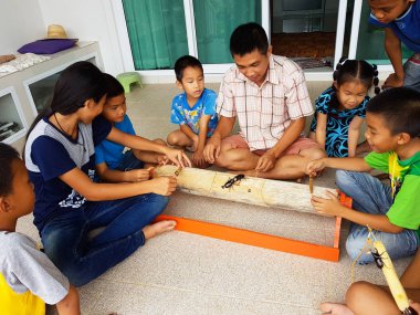 Chiang Rai, Tayland - 9 Eylül: gergedan böceği Chiang rai, Tayland 9 Eylül 2017 üzerinde mücadele izlerken kimliği belirsiz Asyalı çocuk.