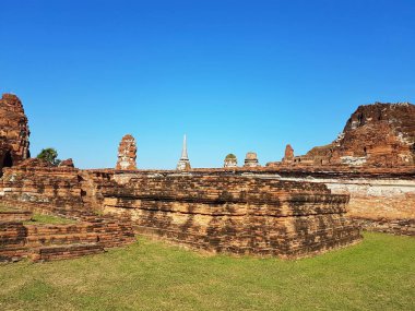 Ayutthaya Historical Park Wat Mahathat parçası. Tayland