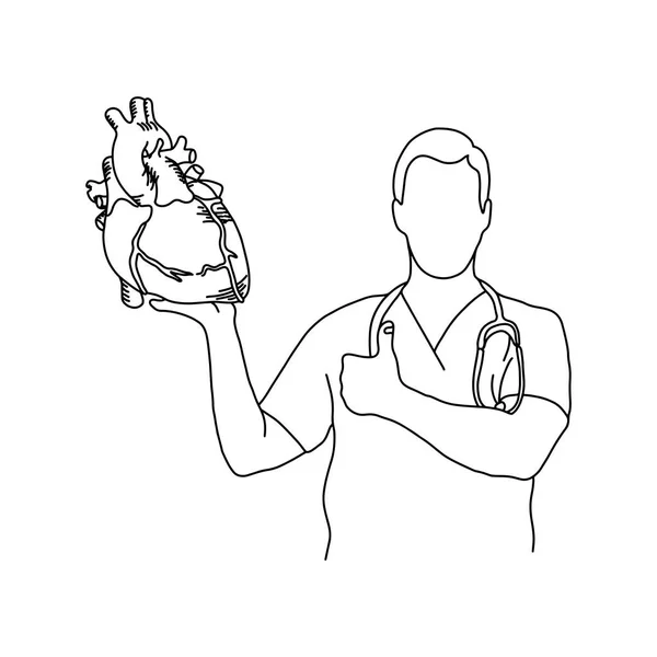 男性医生与操作制服和听诊器在他的脖子持有一个人的心脏矢量插图轮廓素描手绘制的黑色线隔离在白色背景。医疗理念. — 图库矢量图片