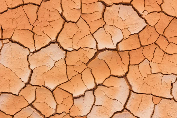 Close-up dried cracked earth soil — Stock Photo, Image