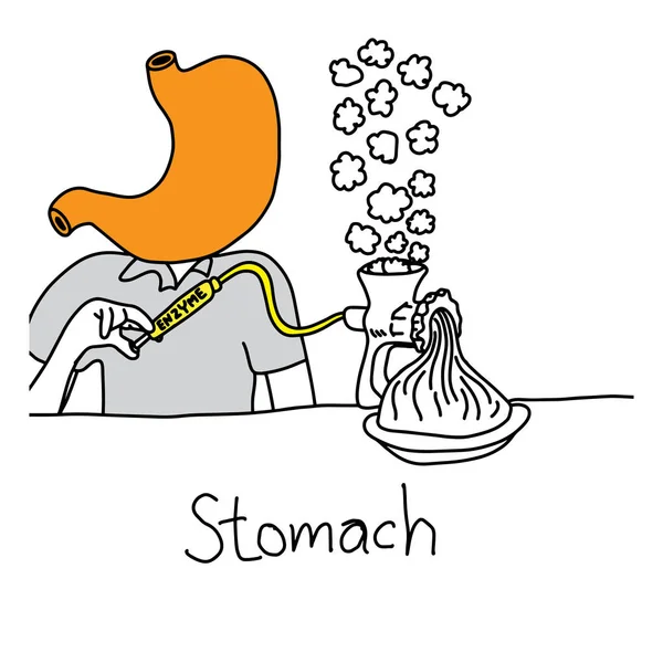 Funzione metaforica dello stomaco per secernere acidi ed enzimi che digeriscono cibo vettore illustrazione schizzo disegnato a mano con linee nere, isolato su sfondo bianco — Vettoriale Stock