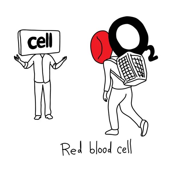 Fonction métaphore des globules rouges pour transporter l'oxygène vers les cellules du corps croquis vectoriel illustration dessiné à la main avec des lignes noires, isolé sur fond blanc. Éducation Concept médical . — Image vectorielle