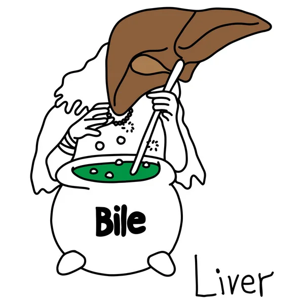 肝脏的隐喻功能生成胆汁矢量插图素描手用黑线绘制, 在白色背景上隔离。教育医学概念 — 图库矢量图片