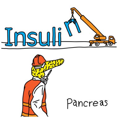 metaphor function of human pancreas is to produce insulin hormone vector illustration sketch hand drawn with black lines, isolated on white background. Education Medical concept clipart