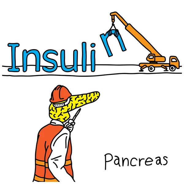 A função da metáfora do pâncreas humano é produzir a ilustração do vetor do hormônio da insulina desenhada à mão com linhas pretas, isoladas em fundo branco. Educação Conceito médico —  Vetores de Stock