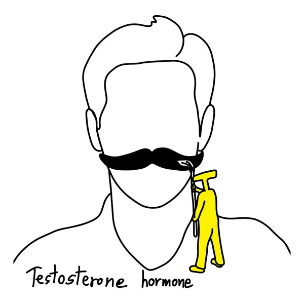 Fonction métaphore de la testostérone est de faire pousser des cheveux du visage vecteur illustration croquis à la main dessiné avec des lignes noires, isolé sur fond blanc. Éducation Concept médical . — Image vectorielle