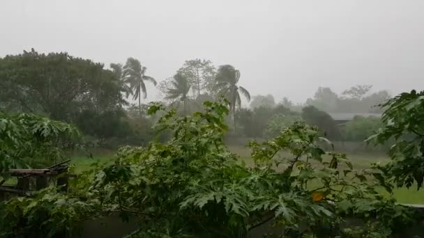 タイでの豪雨の背景 — ストック動画