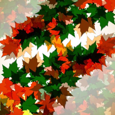 Akçaağaç sonbahar arka plan bırakır. Colofrul resim