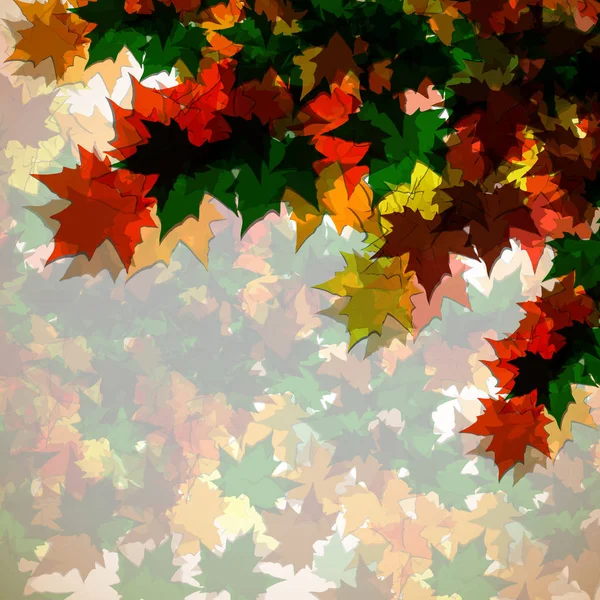 Autumn background of maple leaves. Colofrul image — Stock Vector