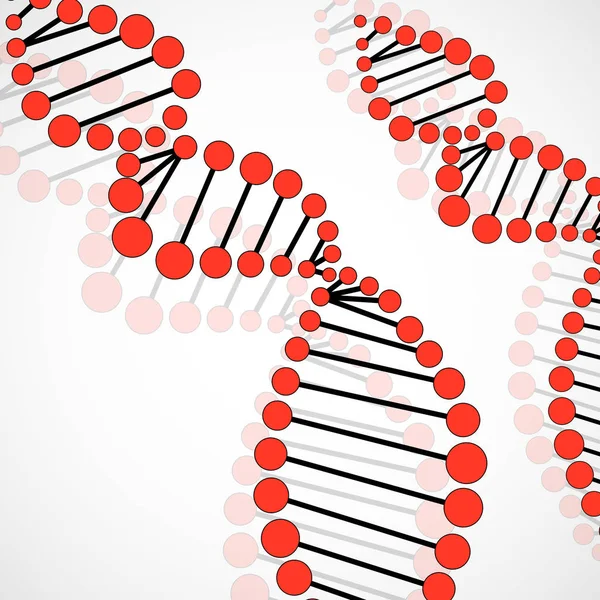 Spirale abstraite de l'ADN, fond moléculaire, vecteur — Image vectorielle