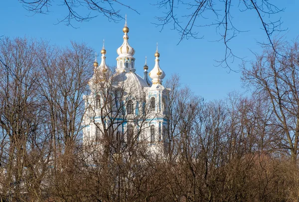 Rusia, St. Petersburg. Pemandangan Kebangkitan Katedral Smolny dari Biara Kecil . — Stok Foto