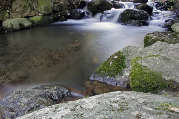 Taşlı yosunlu bir nehirde inci suyu