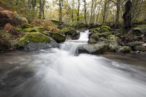 Река с шелковой водой в испанском лесу осенью — стоковое фото