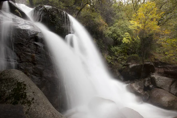 Sonbaharda İspanyol ormanlarında ipek suyu olan bir nehir.