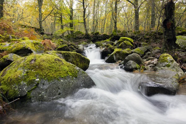 Río con agua de seda en un bosque español en otoño Imagen de archivo