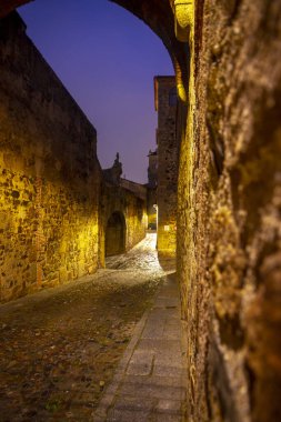 Intramural street of the old part of Caceres after the rain at night