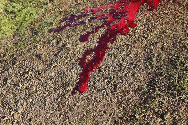 Red blood on the floor — Stok fotoğraf