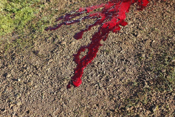 red blood on the floor