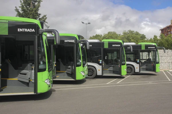 new city buses adapted for green handicapped parked in a row