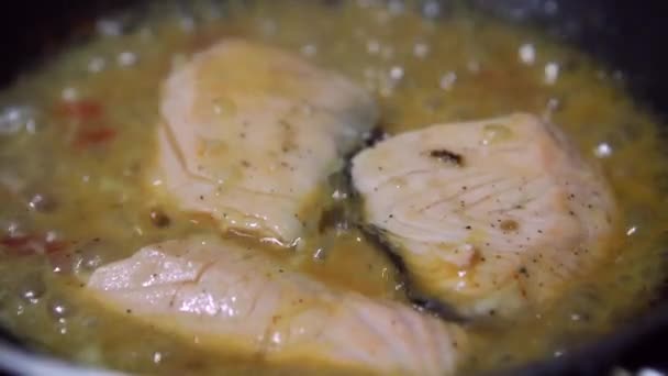 用平底锅里的酱汁煮鱼 — 图库视频影像