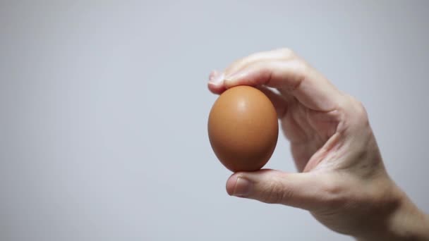 Oeuf Pris Avec Deux Une Main Sur Fond Blanc — Video