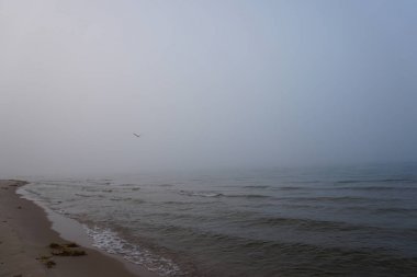 Sis Kasım sabahı plaj ve kıyı hattı üzerinden