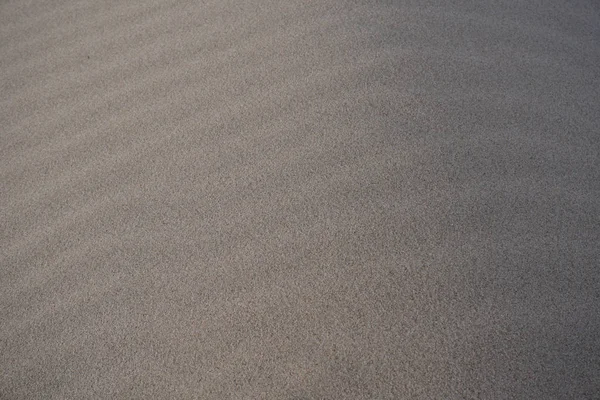 Курганы Песка Развевающиеся Ветрами Озера Мичиган — стоковое фото