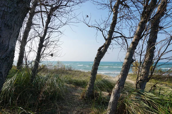 Linha Costa Lago Michigan Com Praia Céu Azul Árvores Nuvens — Fotografia de Stock