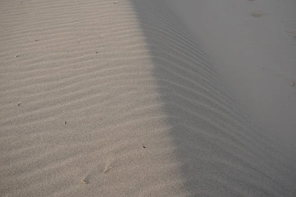 Курганы Песка Развевающиеся Ветрами Озера Мичиган — стоковое фото