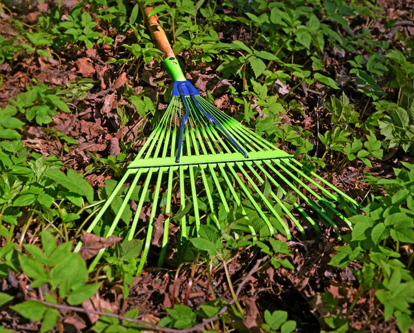 Ancinho ventilador de jardim — Fotografia de Stock