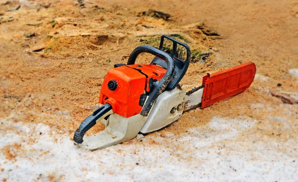 The  chainsaw on snow among sawdust — Stock Photo, Image