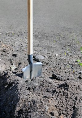 Shovel in ground in field