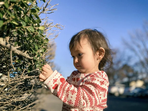 Little girl inspects and plays with greenery.  She inspects and studies the plants.