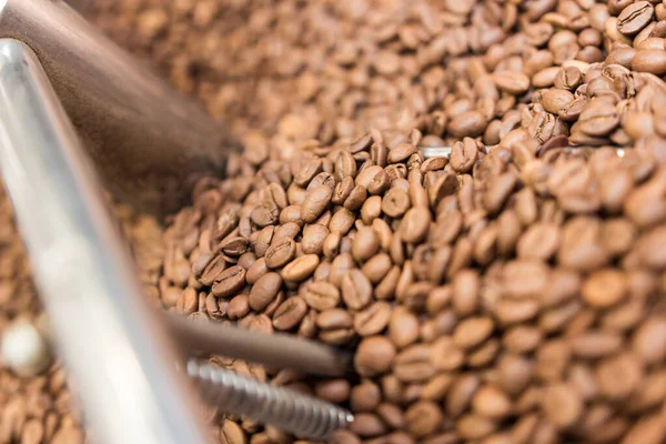 İşte kahve kızartma makinesi.