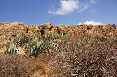 Ada Gramvousa. Crete. Yunanistan.