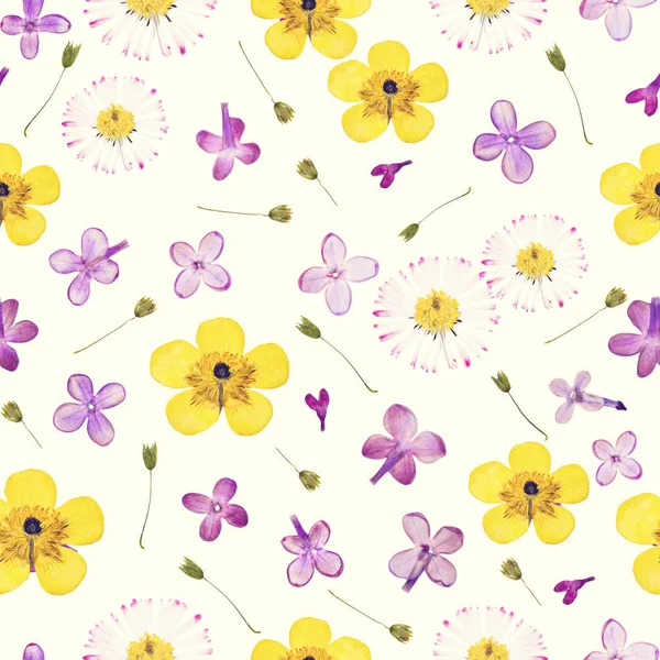Pressed and dried flowers pattern — Stock Photo, Image