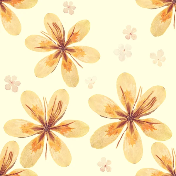 Pressed and dried flowers pattern — Stock Photo, Image