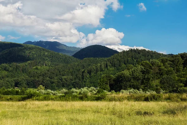 Primavera verano paisaje carpático con campo de pueblo verde —  Fotos de Stock