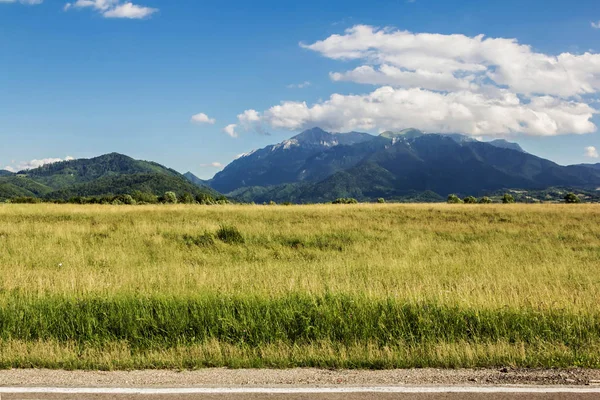 Літній карпатський пейзаж з зеленим полем і дорогою — стокове фото