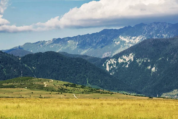 Paisaje carpático de verano con campo verde y carretera —  Fotos de Stock