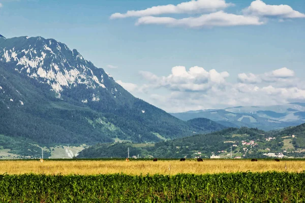 Paisaje rural de montaña —  Fotos de Stock