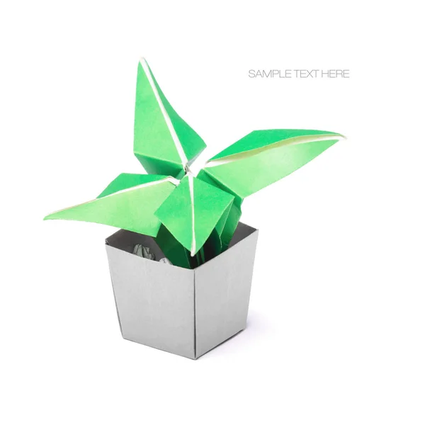 Origami succulento fiore al coperto — Foto Stock