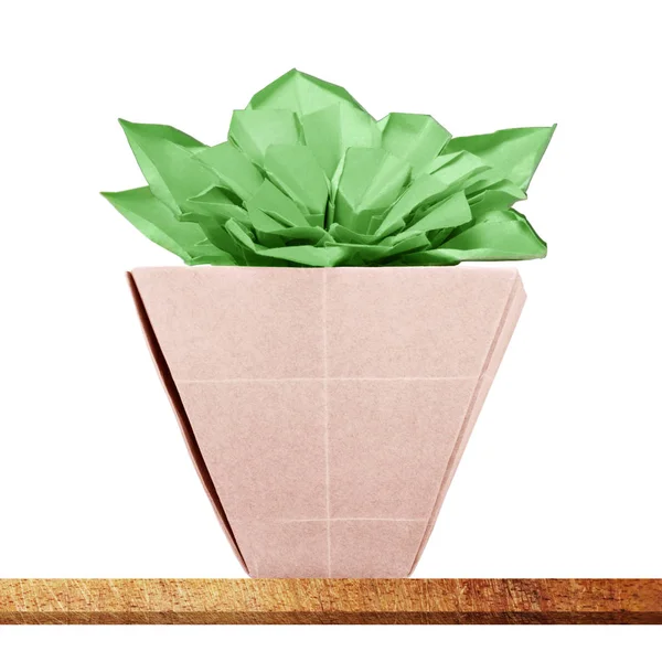 Origami suculenta flor interior —  Fotos de Stock