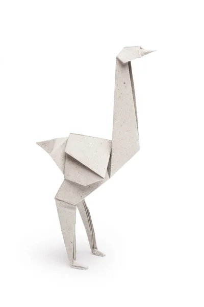 Origami struisvogel geïsoleerd — Stockfoto